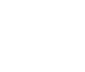 Boldsight icon hero watermark (1)